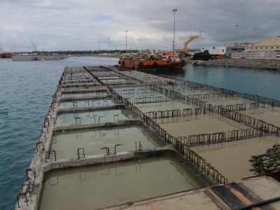 Layer of Gravels & Sinking of Caisson in Limassol Port of CYPRUS
